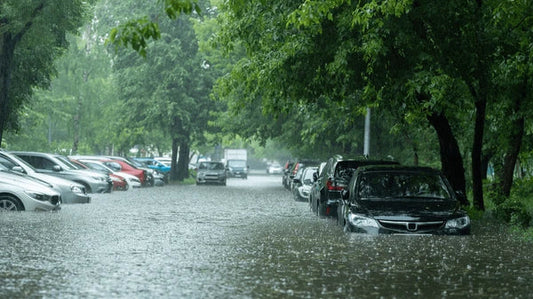 🌊 NSW Storm Emergency: Coastal Floods, Power Outages & Public Risk