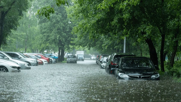 🌊 NSW Storm Emergency: Coastal Floods, Power Outages & Public Risk